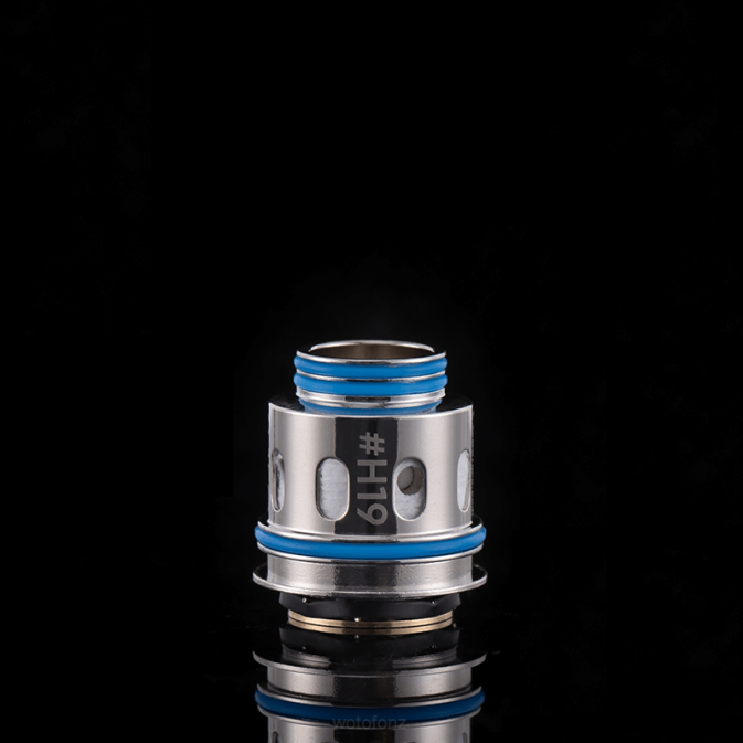 Wotofo NEXMESH PRO TANK COIL H12 CLAPTON MESH 3PCS | Wotofo Auckland RB86376