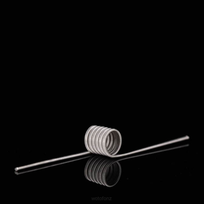 Wotofo ID PREBUILT COIL DUAL CORE FUSED CLAPTON 0.65OHM 5MM 5PCS | Wotofo Flavors RB86347