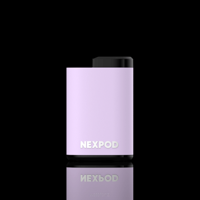 MACARON PURPLE